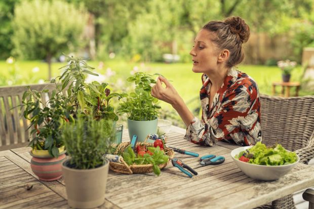 Lato to doskonały czas, aby cieszyć się świeżymi warzywami, soczystymi owocami i aromatycznymi ziołami, które uprawiamy w ogrodzie. Zbieranie letnich plonów będzie łatwiejsze i bardziej efektywne dzięki odpowiednim narzędziom.