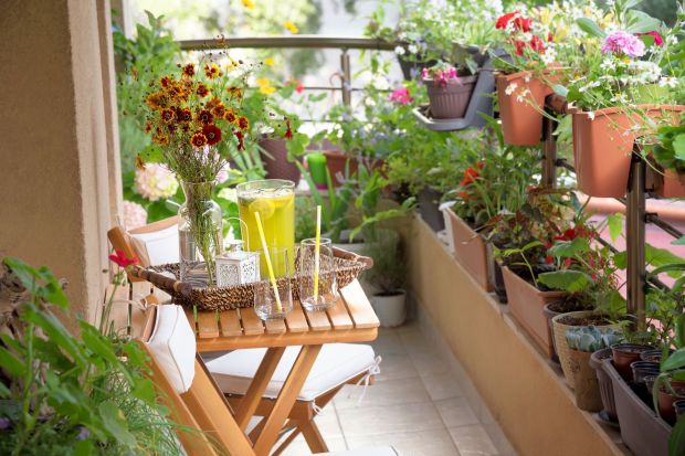 Nawet gdy mieszkasz w bloku możesz cieszyć się pięknym i urodzajnym ogrodem. Wybór roślin odpowiednich dla małych przestrzeni jest tak bogaty, że zadowoli wszystkich pasjonatów kwiatów, warzyw i ziół. Podpowiadamy, co można wysiać na balkon