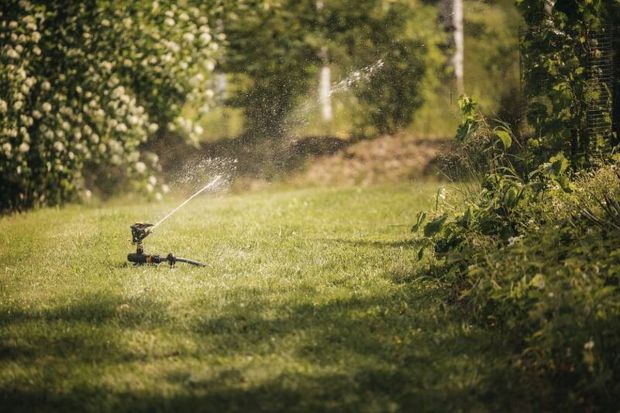 Duża powierzchnia ogrodu nie musi oznaczać zużyci ogromnej ilości wody. Trzeba jednak poznać rzeczywiste zapotrzebowanie roślin na nią i wybrać najlepszy optymalny sposób nawadniania oraz właściwy sprzęt.