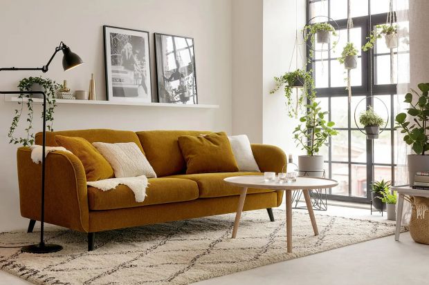 Jaka kanapa do salonu? 3 pomysły na sofę w najmodniejszym kolorze 2024!