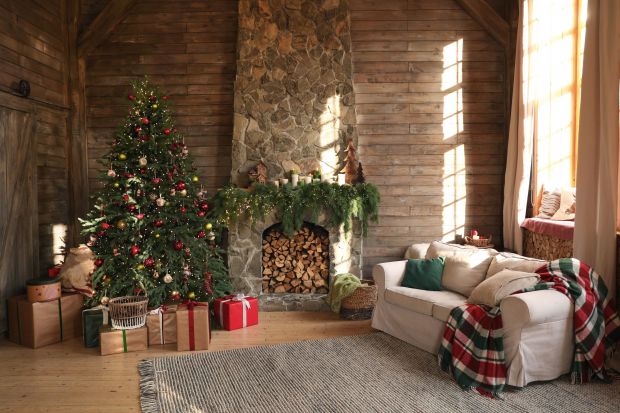 Jakie rośliny sprawdzą się w roli świątecznych dekoracji w naszych domach i mieszkaniach? Co ustawić w salonie na Boże Narodzenie? Podpowiada ekspertka Alicja Cebulak z firmy Calla Group. Zobacz też piękne zdjęcia. <br /><br /><