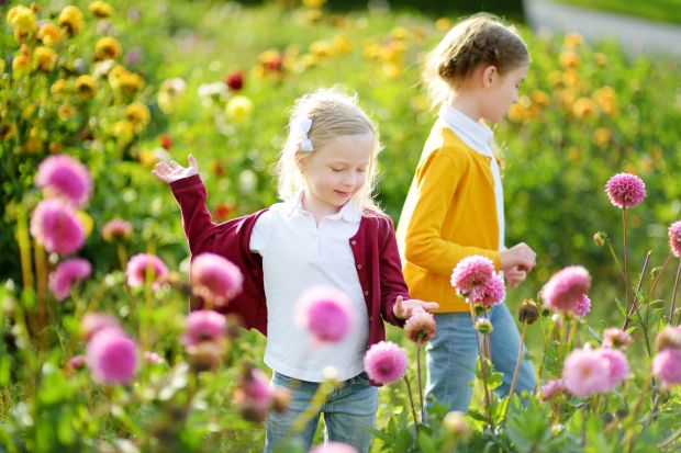 Badania dowodzą, że uprawa roślin i wspólna praca w ogrodzie oferują najmłodszym nie tylko możliwość fizycznej aktywności, ale również szereg korzyści rozwojowych, edukacyjnych i zdrowotnych. Oto dlaczego warto wiosenny ogród szykować razem